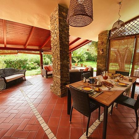 Villa Patrizia 斯廷蒂诺 外观 照片
